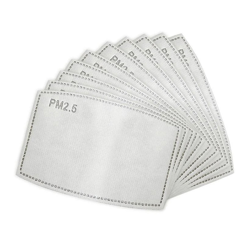 pm2.5 rated activated carbon filters 10 pack
